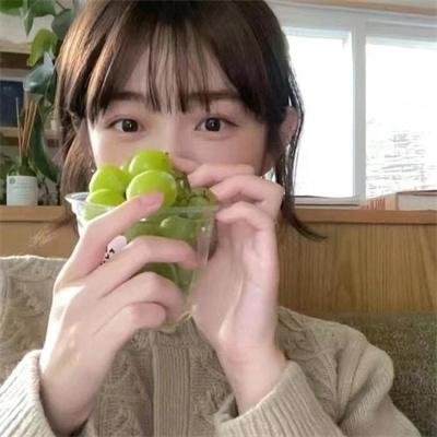 奇迹小雨燕
